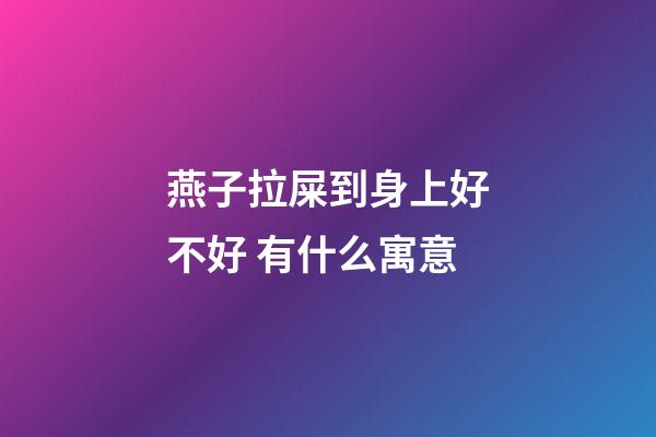 燕子拉屎到身上好不好 有什么寓意